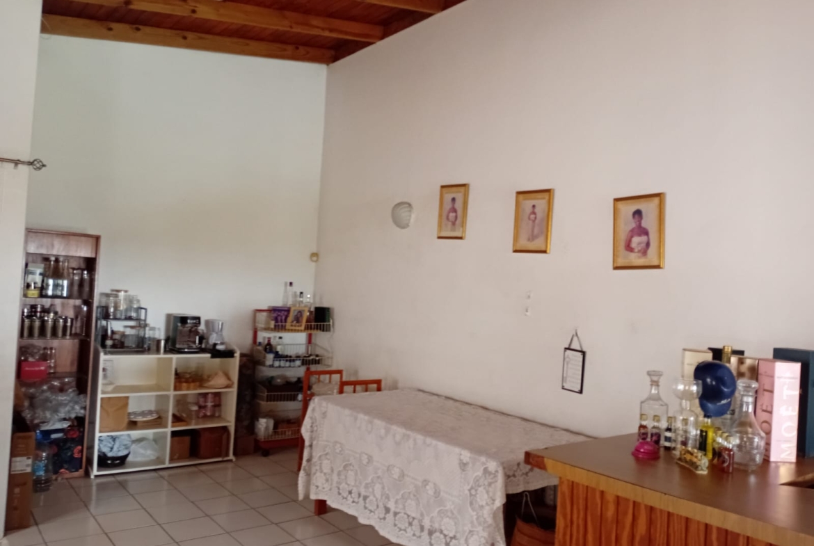 Spacious 3-Bedroom Home with Studio for Sale – St. James