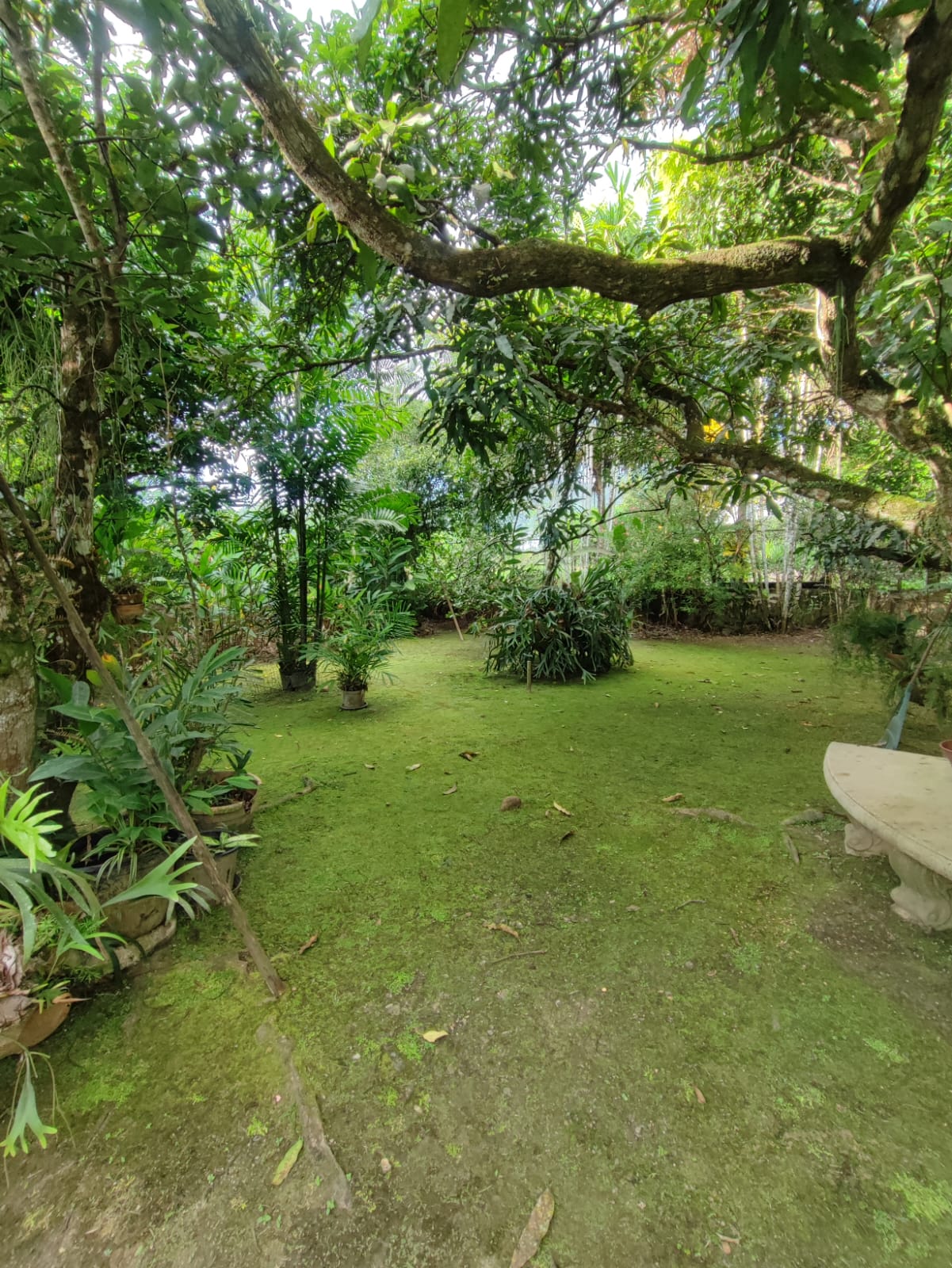 Rare Land & Home Opportunity for Sale – La Pastora Gardens, Santa Cruz