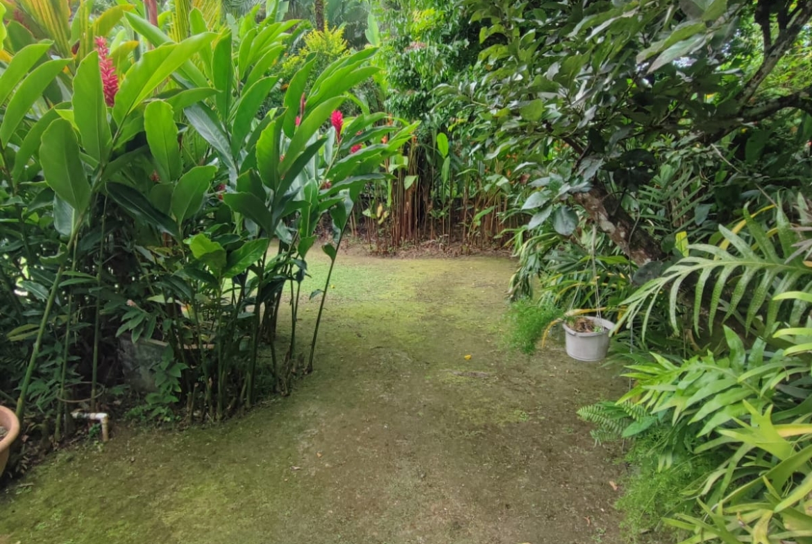 Rare Land & Home Opportunity for Sale – La Pastora Gardens, Santa Cruz