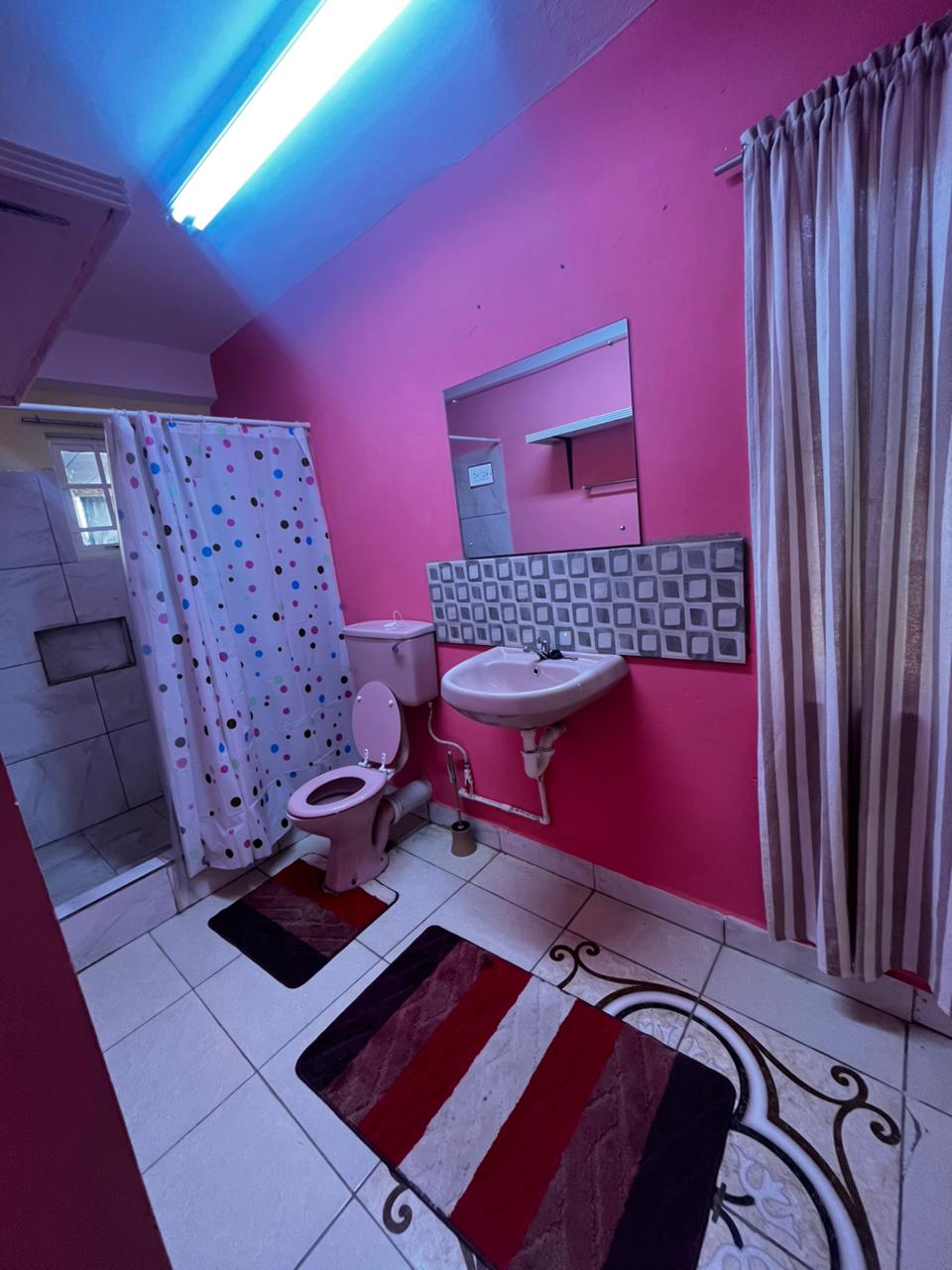 Cozy one bedroom Apartment for rent Piarco.