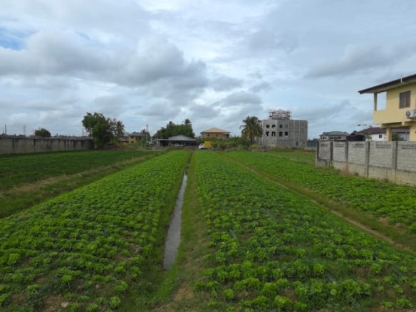 Prime Development Land for Sale – Aranguez