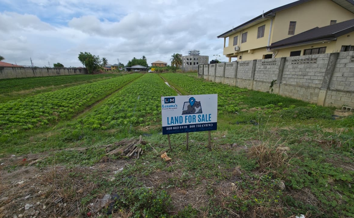 Prime Development Land for Sale – Aranguez