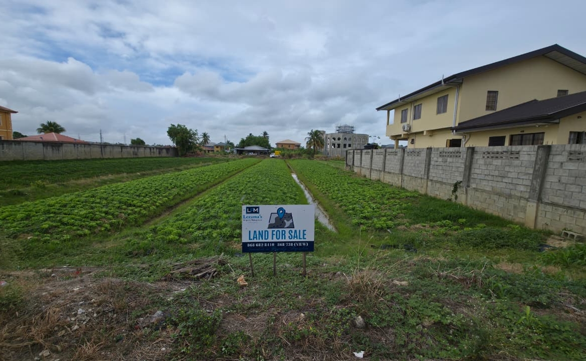 Prime Development Land for Sale – Aranguez